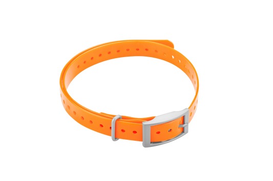 Sangle de collier Garmin 3/4 po, orange, boucle carrée (010-11870-03)