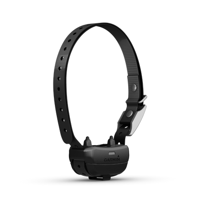 Collier de dressage pour chien Garmin Delta SE uniquement (010-02608-10)