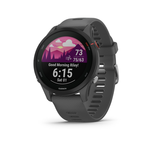 Garmin Forerunner 255, gris ardoise, montre connectée GPS de fitness haut de gamme pour coureurs (010-02641-00)