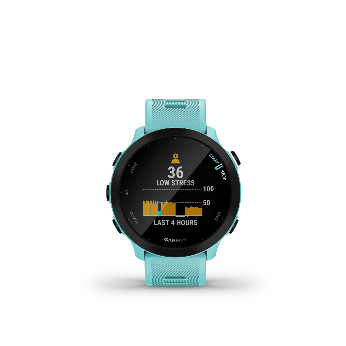 Garmin Forerunner 55, Aqua, Fitness GPS Smartwatch for Runners (010-02562-02)