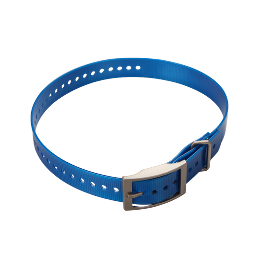 Sangle de collier Garmin 1 pouce, bleue avec boucle carrée (010-11892-04)