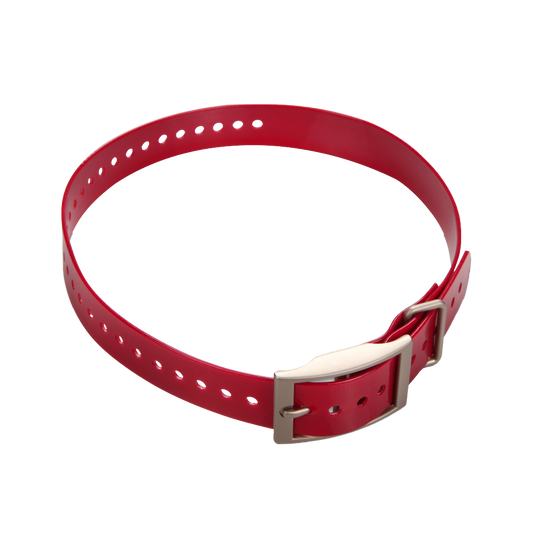 Sangle de collier Garmin 1 pouce, rouge avec boucle carrée (010-11892-02)