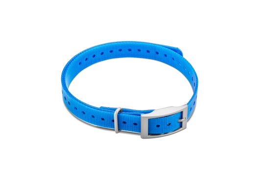 Sangle de collier Garmin 3/4 po, bleue, boucle carrée (010-11870-06)