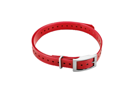 Sangle de collier Garmin 3/4 po, rouge, boucle carrée (010-11870-02)