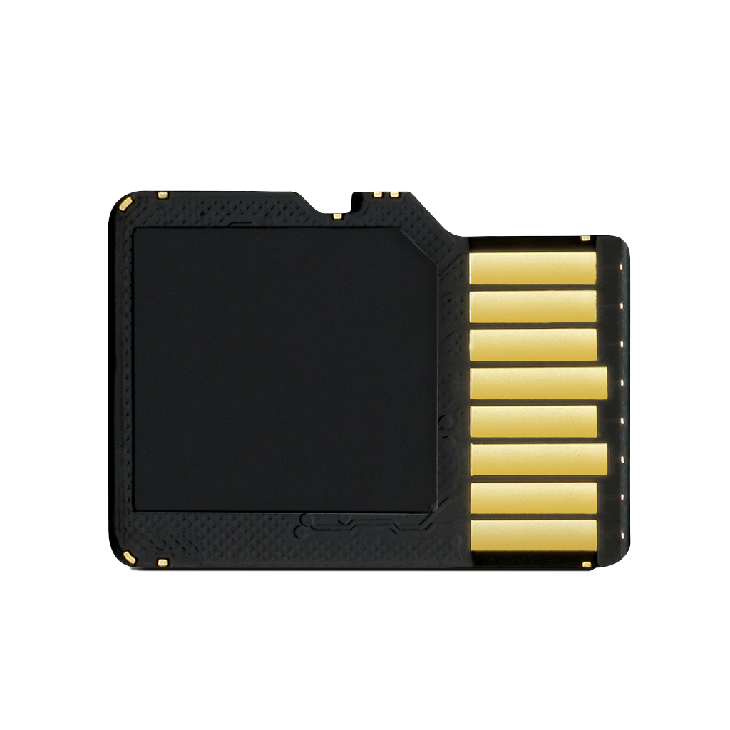 Carte microSD Garmin 8 Go avec adaptateur SD (010-10683-06)