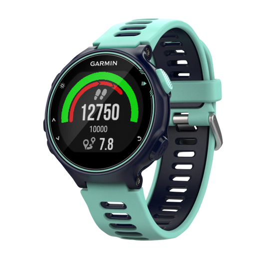 Garmin Forerunner 735XT Midnight Frost & Frost Blue (010-01614-01)