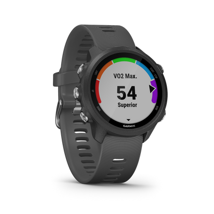 Garmin Forerunner 245, Slate, montre connectée GPS de fitness haut de gamme pour coureurs (010-02120-00)