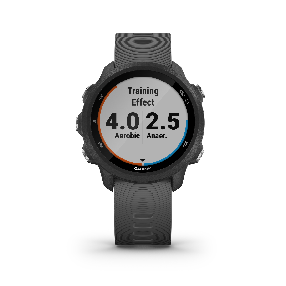 Garmin Forerunner 245, Slate, montre connectée GPS de fitness haut de gamme pour coureurs (010-02120-00)