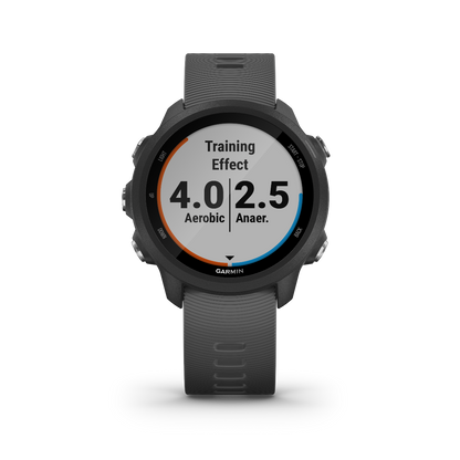 Garmin Forerunner 245, Slate, montre connectée GPS de fitness haut de gamme pour coureurs (010-02120-00)