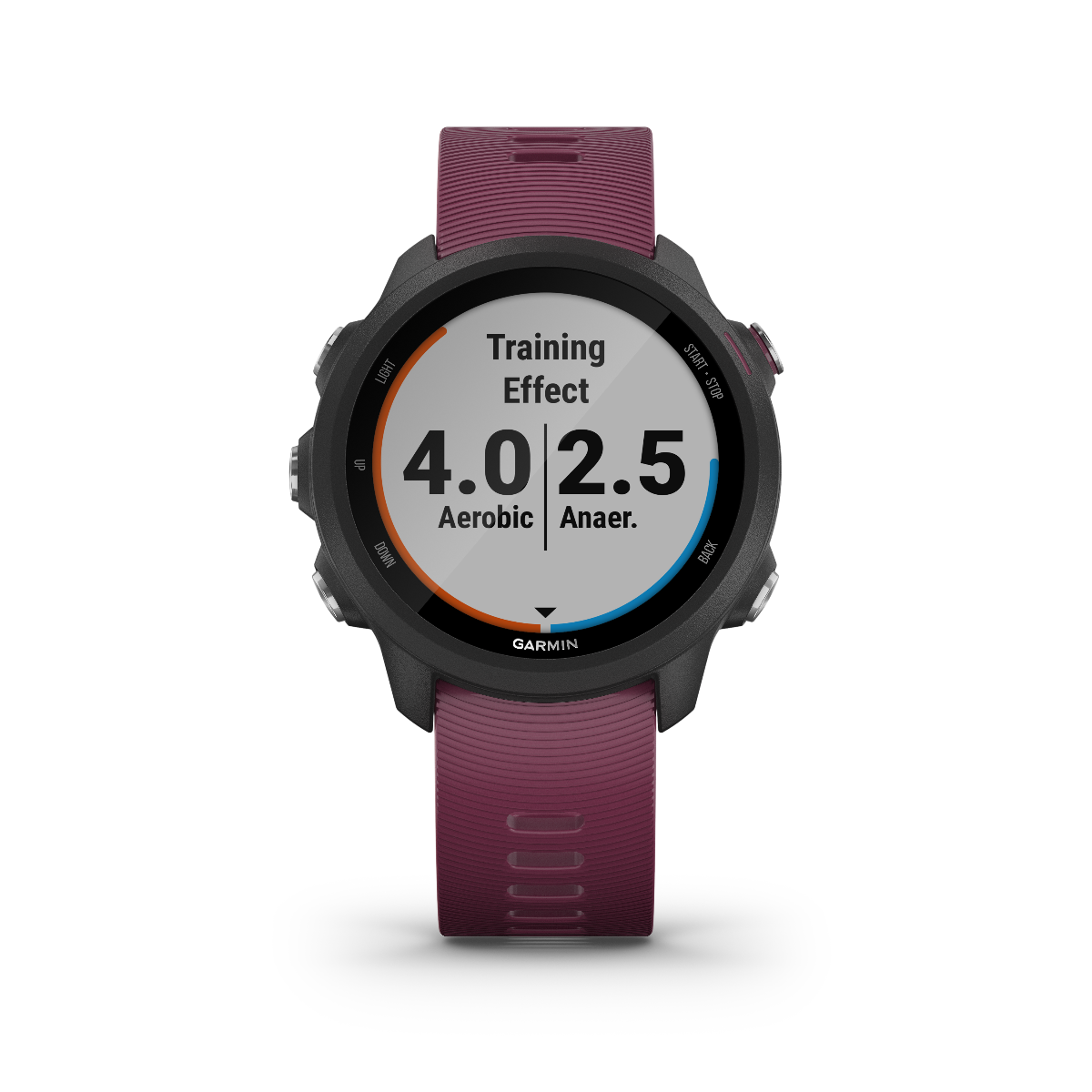 Garmin Forerunner 245, Berry, montre connectée GPS de fitness haut de gamme pour coureurs (010-02120-01)