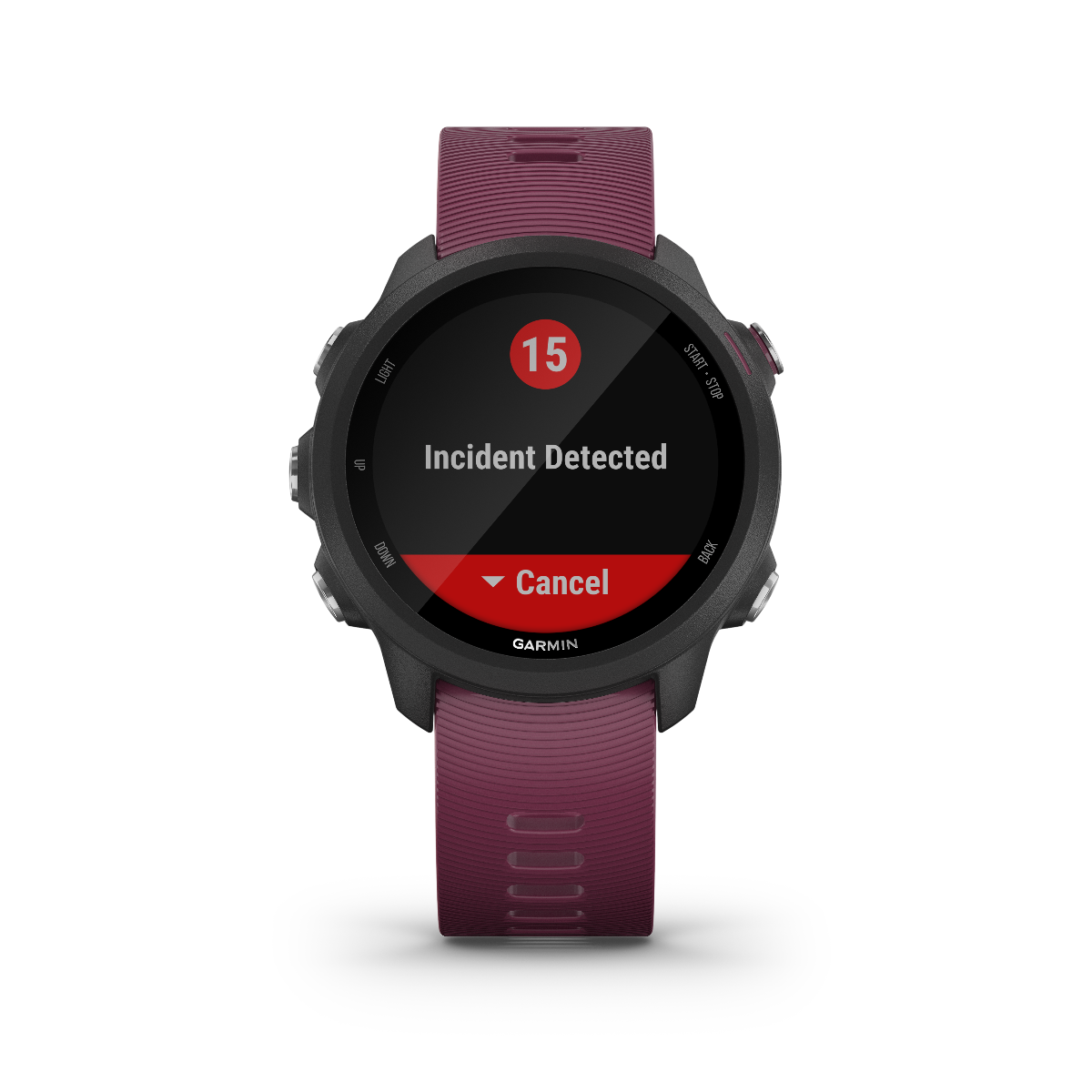 Garmin Forerunner 245, Berry, montre connectée GPS de fitness haut de gamme pour coureurs (010-02120-01)