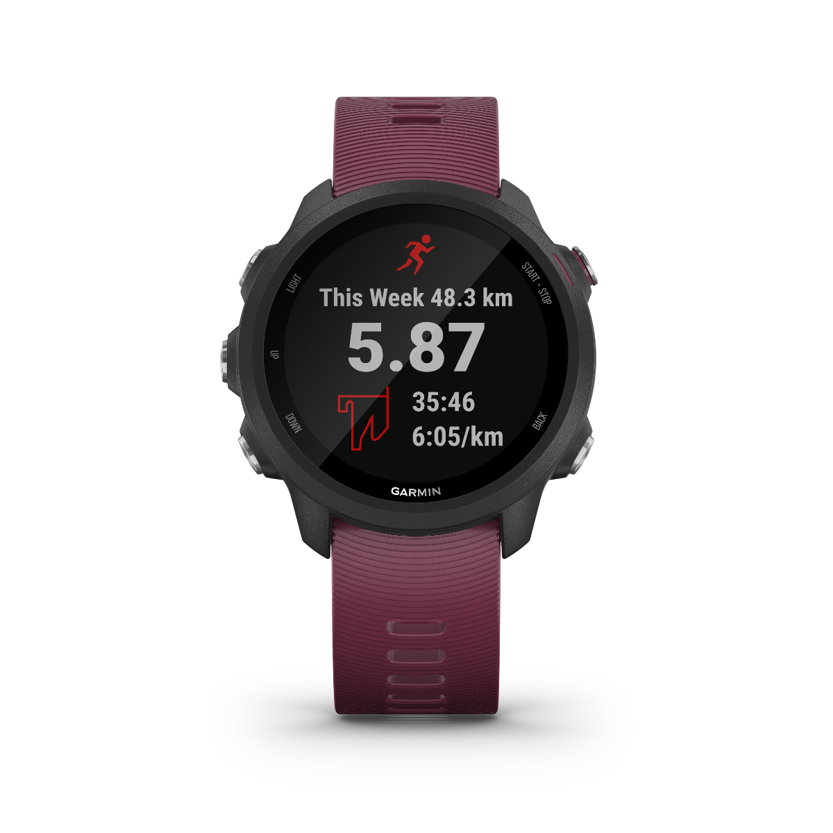 Garmin Forerunner 245, Berry, montre connectée GPS de fitness haut de gamme pour coureurs (010-02120-01)