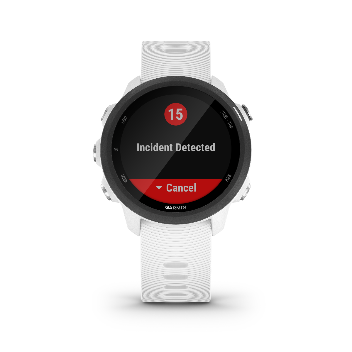 Garmin Forerunner 245 Music, blanc, montre connectée GPS de fitness haut de gamme pour coureurs (010-02120-21)