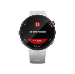 Garmin Forerunner 45S - White