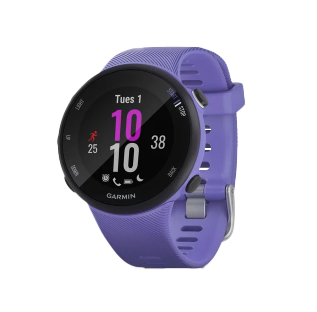 Montre Garmin Forerunner 45S - Iris (010-02156-01)